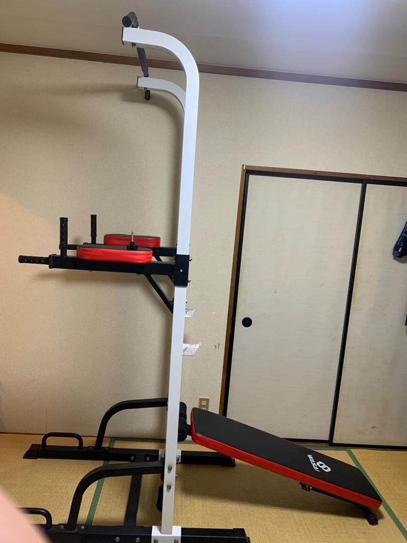 WASAI HD5005 ぶら下がり健康器