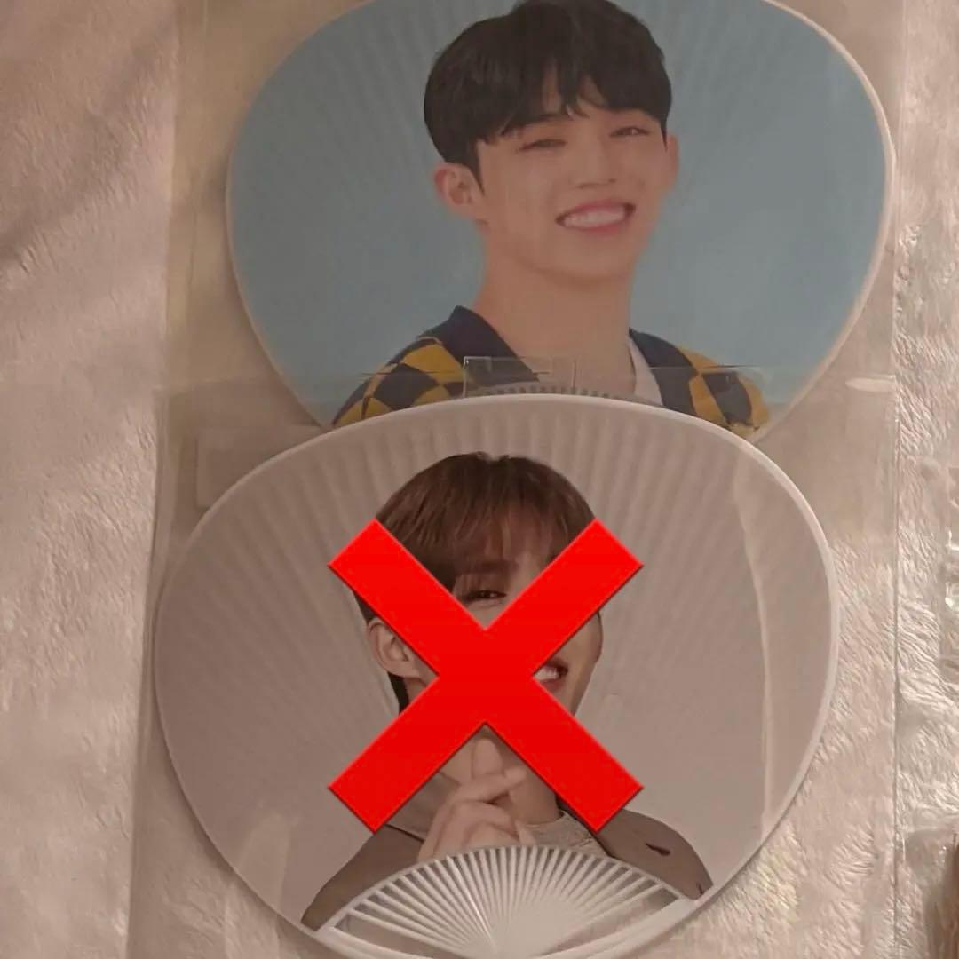 SEVENTEEN エスクプス　うちわ　12点　セット　即購入不可