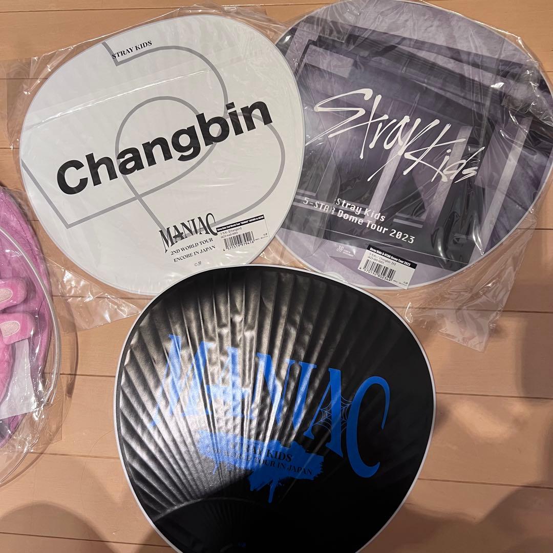 straykids チャンビン DWAEKKI セット