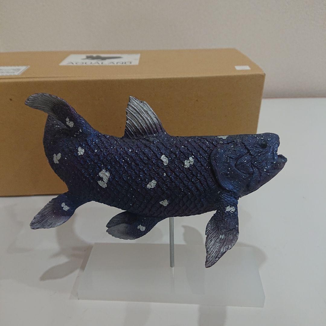 海洋堂 アクアランド シーラカンス 塗装済み完成品