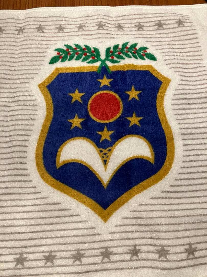 第78回　選抜高等学校野球大会出場記念タオル　東海大相模　新品未使用