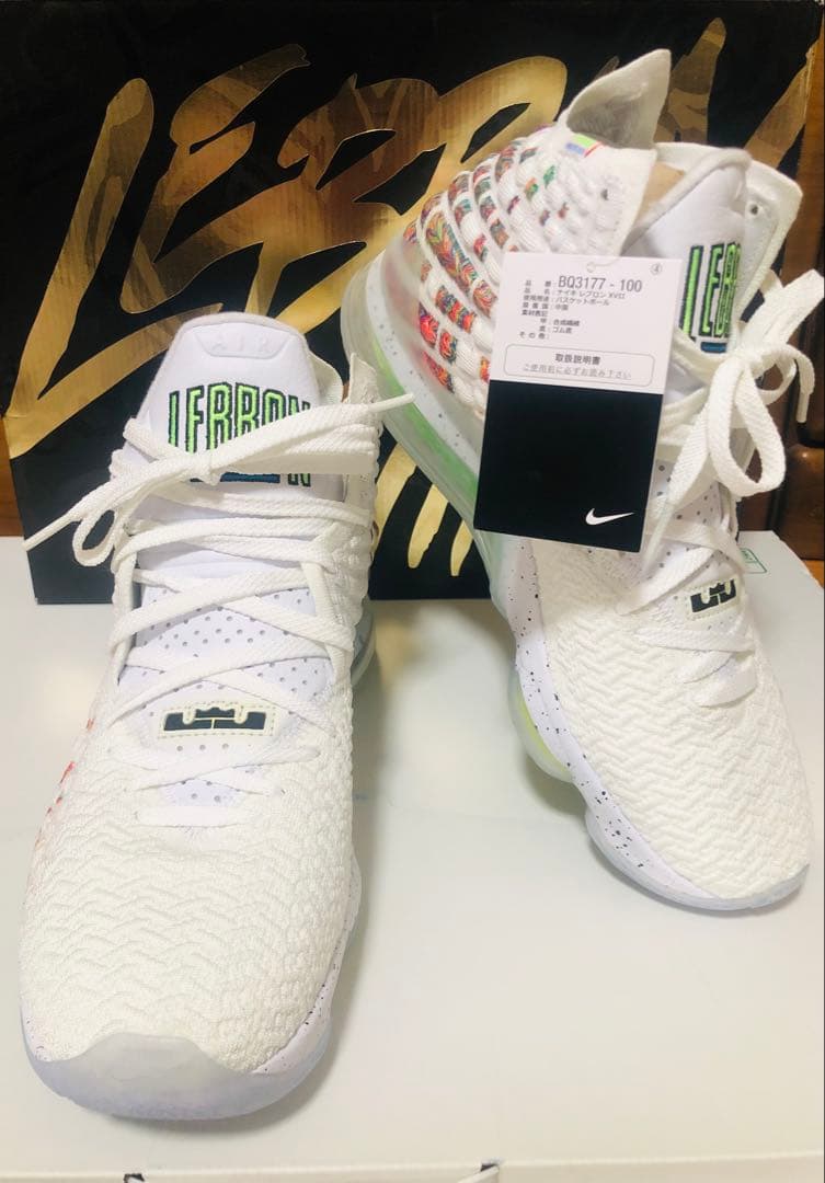 Nike LeBron 17 30センチ　新品未使用
