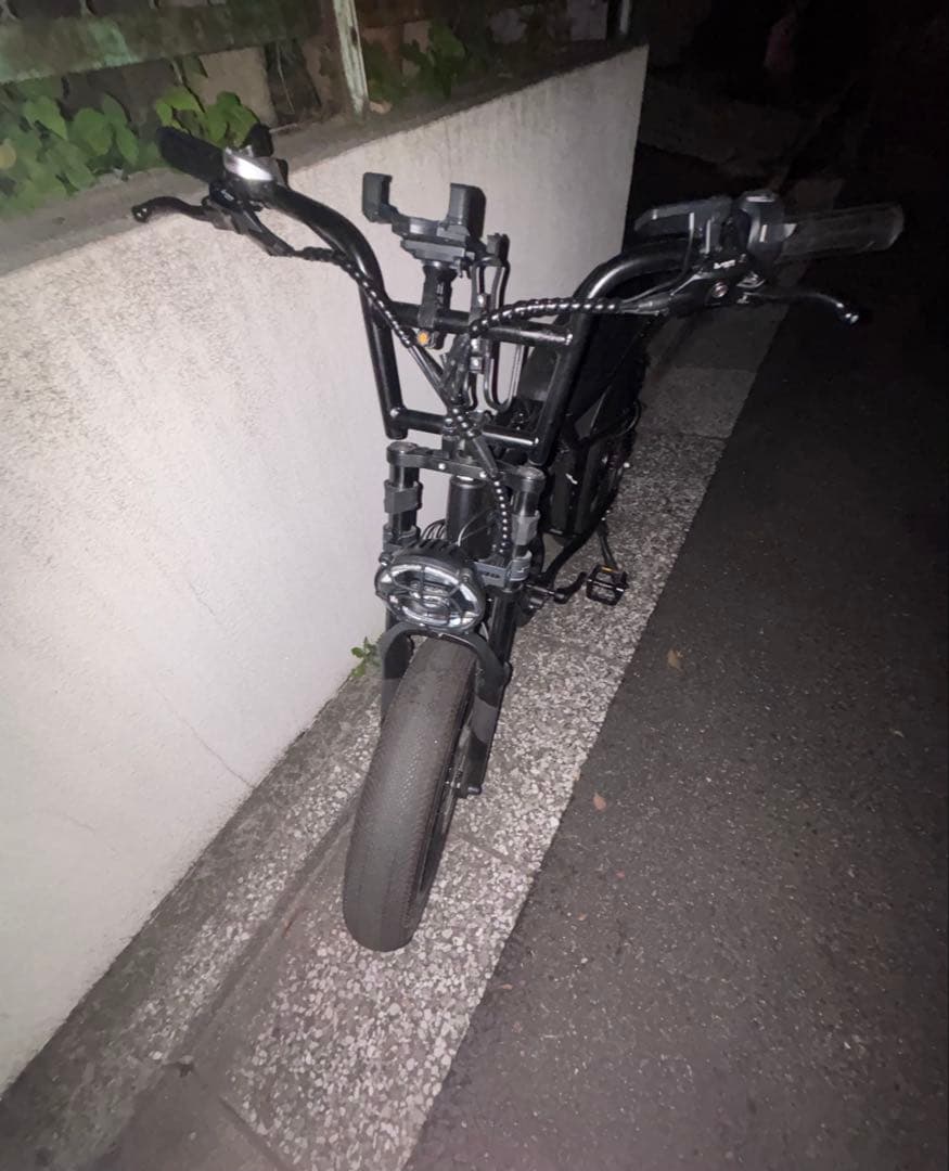 電動アシスト自転車 e-bike