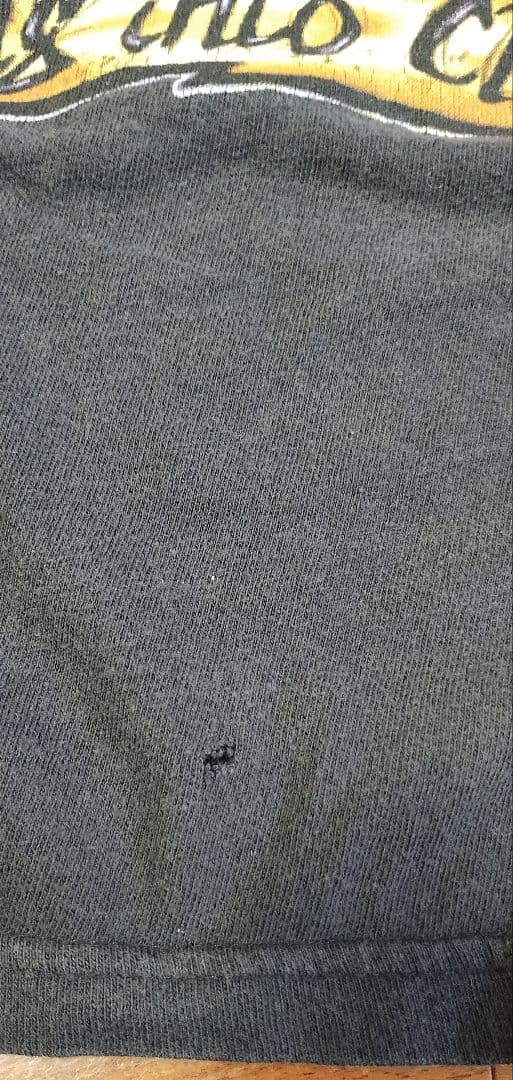 トラヴィス・スコット着用 1998 Page Plant ツアー Tシャツ XL