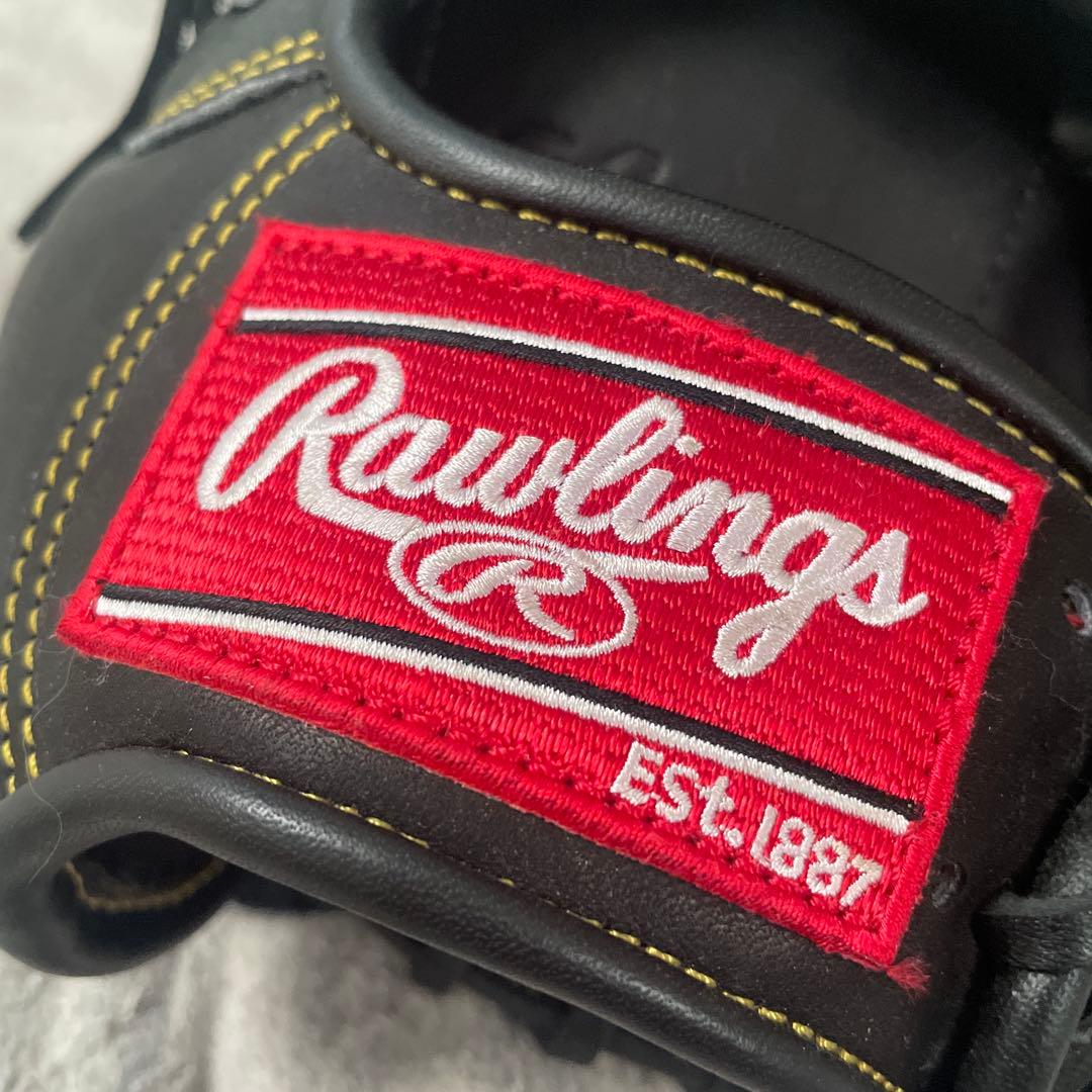 Rawlings 硬式野球トレーニンググローブ 黒