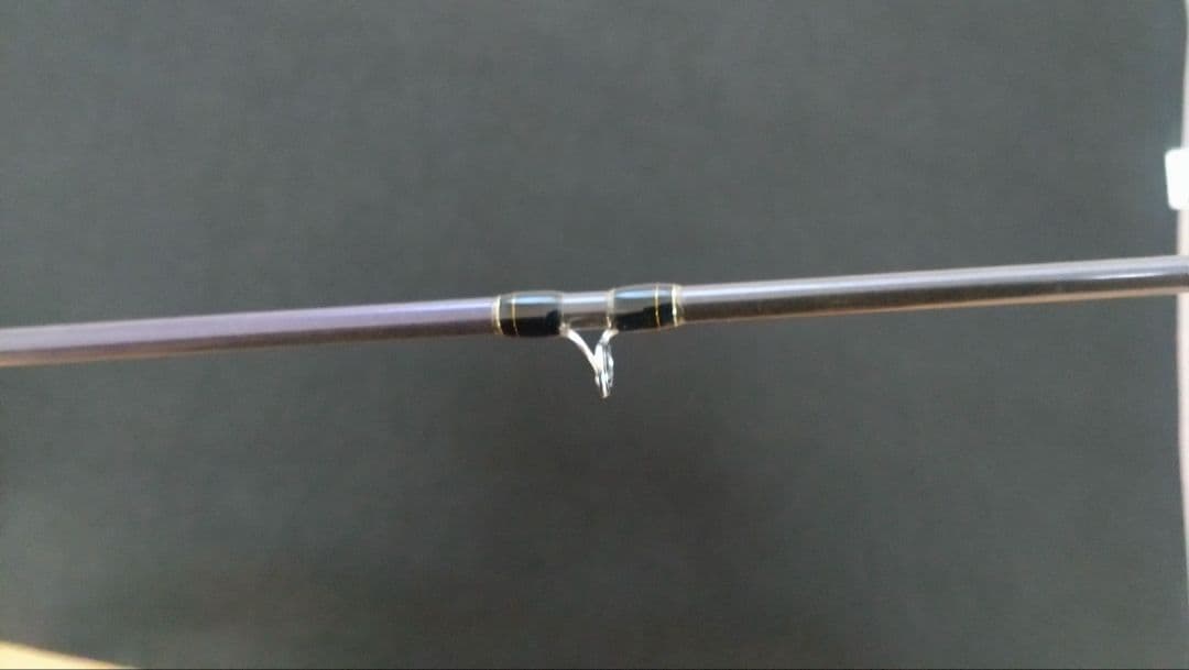 Fenwick フェンウィック テクナGP TAV-GP74CHJ　琵琶湖