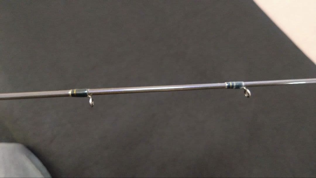 Fenwick フェンウィック テクナGP TAV-GP74CHJ　琵琶湖