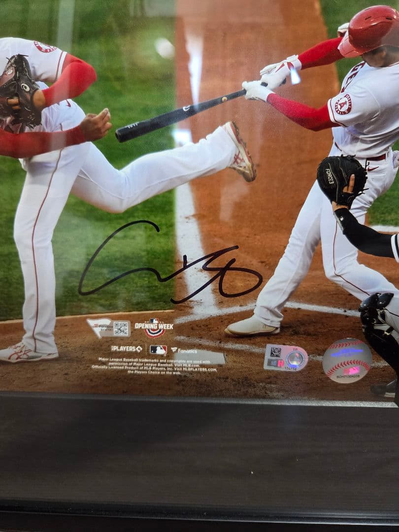 大谷翔平選手 二刀流直筆サイン入りフォト