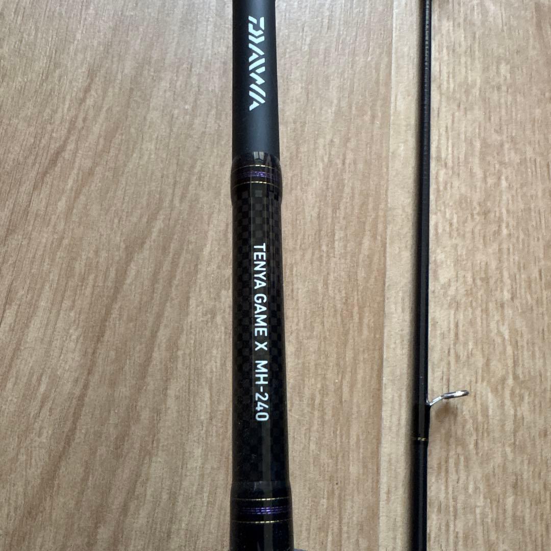 ロッド DAIWA TENYA GAME X MH-240