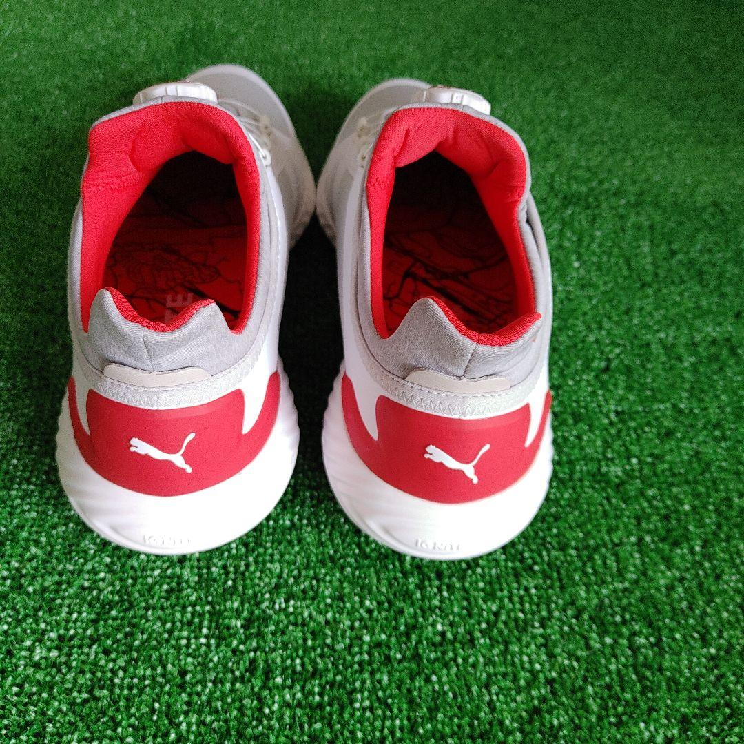 pumaゴルフシューズパワーアダプトゲージディスク26cm