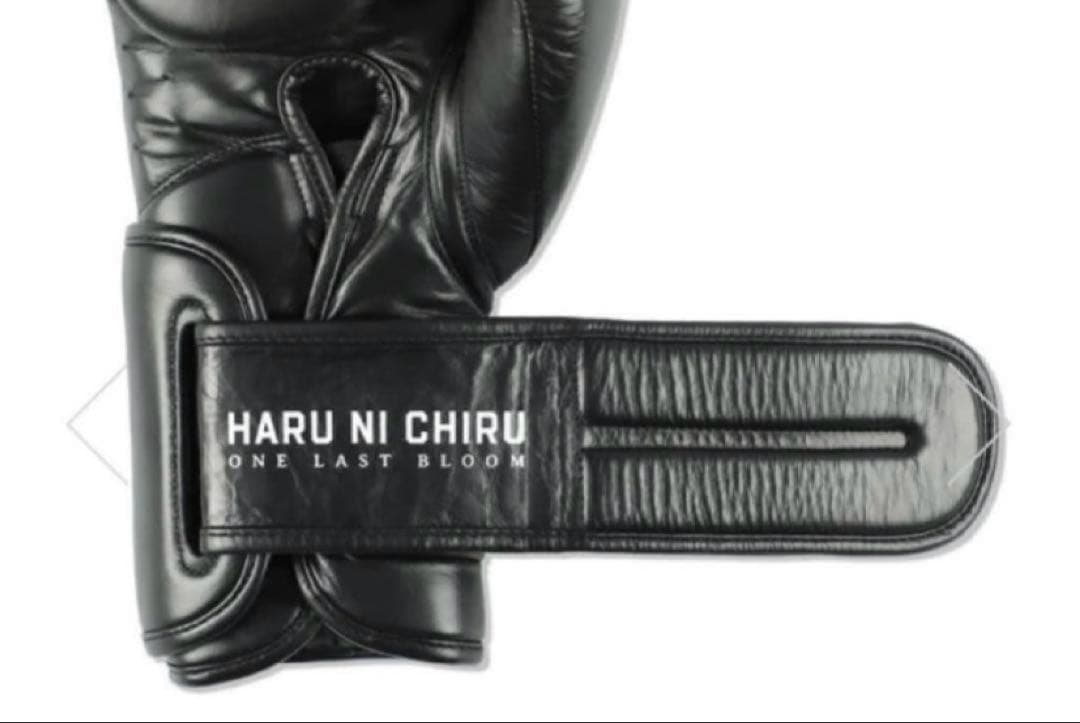 春に散る X WDS X EVERLAST BOXING GLOVE 10oz