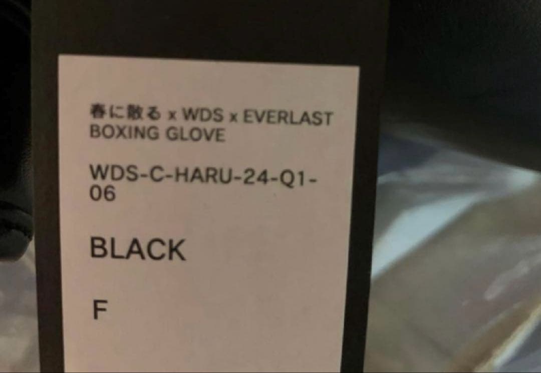 春に散る X WDS X EVERLAST BOXING GLOVE 10oz