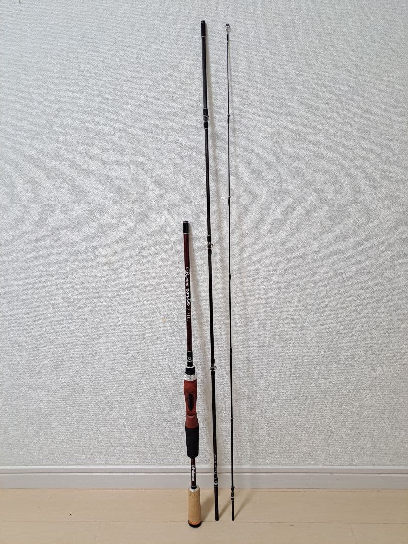 Fishman フィッシュマン Beams inte 7.7UL