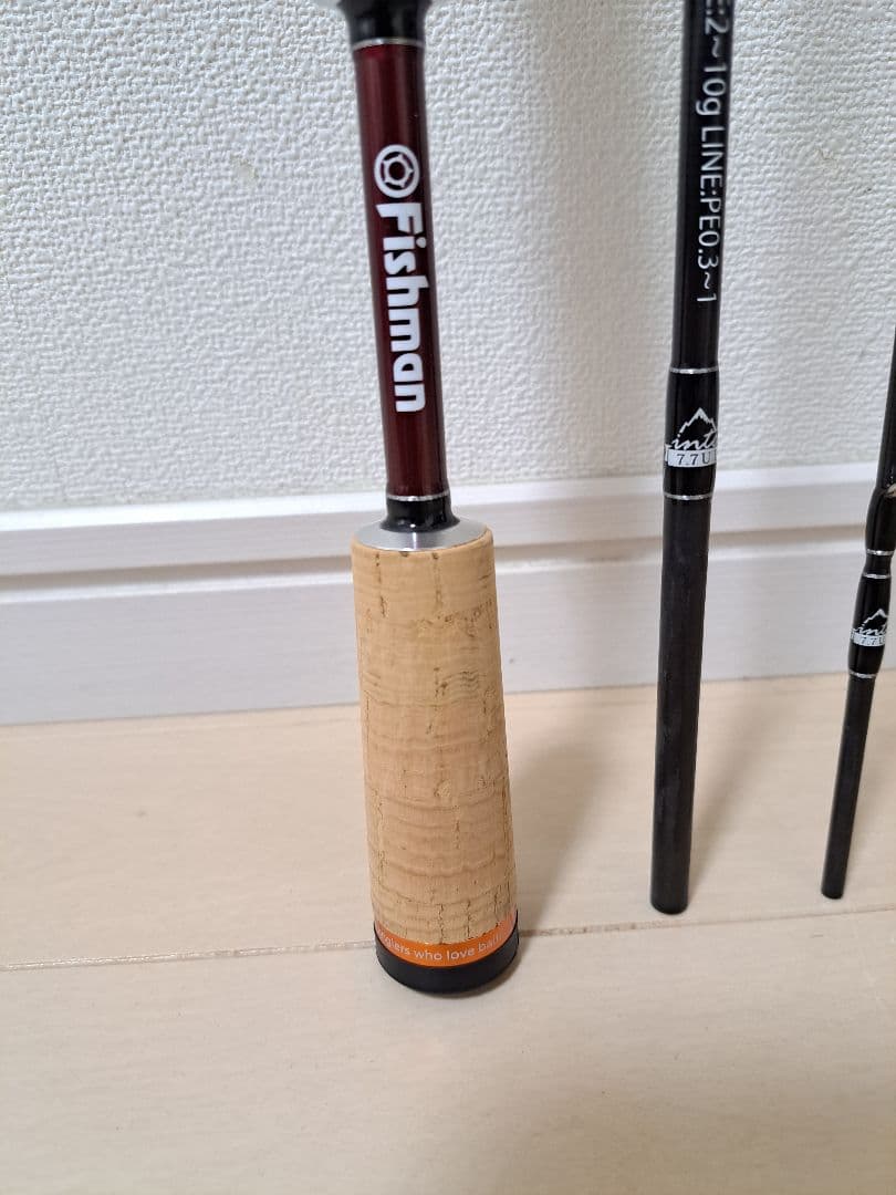 Fishman フィッシュマン Beams inte 7.7UL