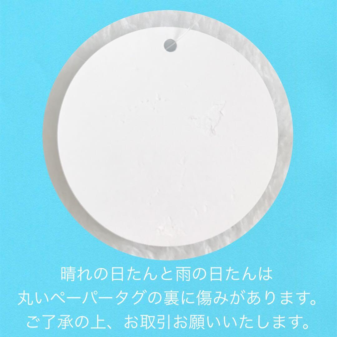 しろたん　ぬいぐるみ　マスコット　クアッカワラビー　SIROTAN まとめ売り