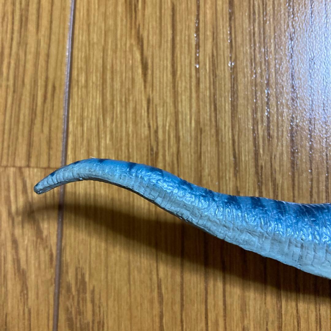 福井県立恐竜博物館　ビスタヒエヴェルソルVSペンタケラトプス