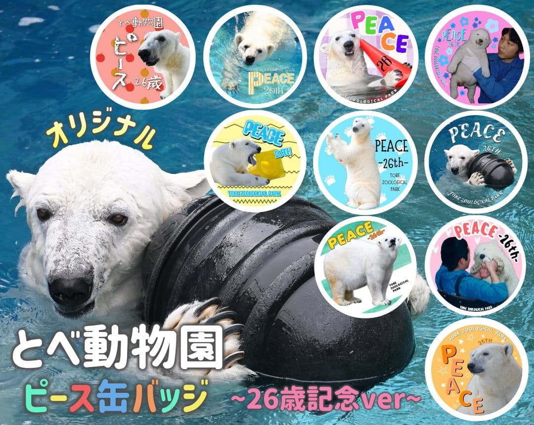【コンプリート】しろくま ピース 缶バッチ 10個 〜26歳記念ver〜