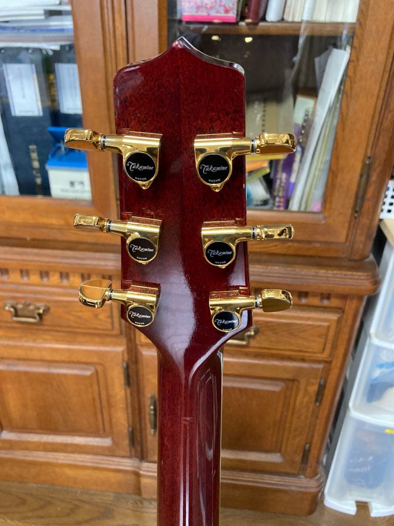 Takamine エレアコ DMP512WR