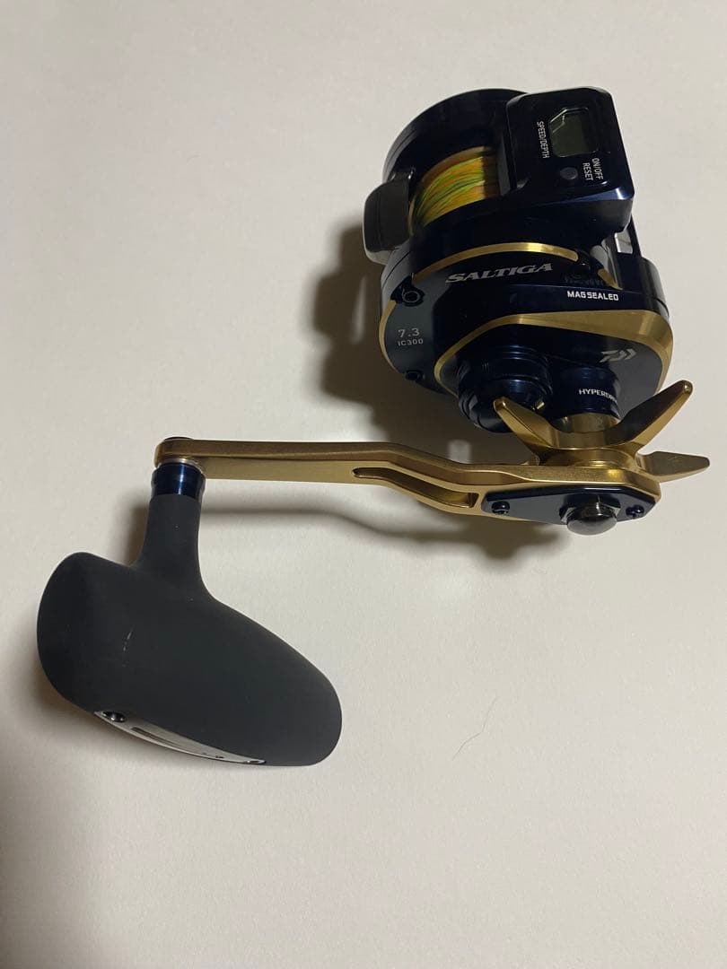 ダイワ（DAIWA）ソルティガ（SALTIGA）IC-300H-SJ