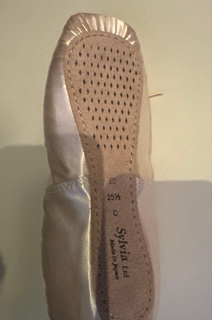 トウシューズ　エリス　25.5cm