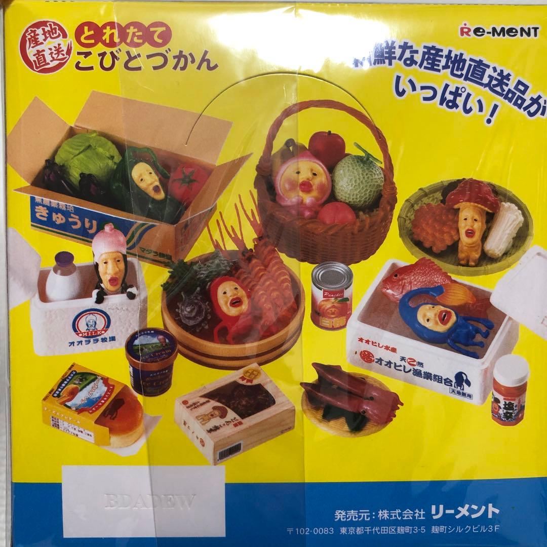 新品未開封　リーメント　産地直送とれたてこびとづかん