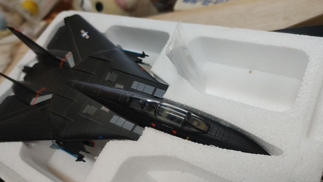 F-14 Tomcat第４航空試験評価 飛行隊エバリュエイターズブラックバニー