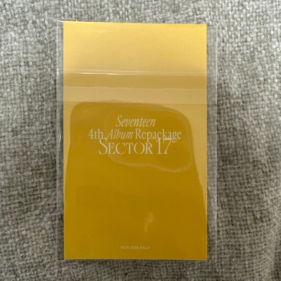SEVENTEEN ウジ ラキドロ sector17