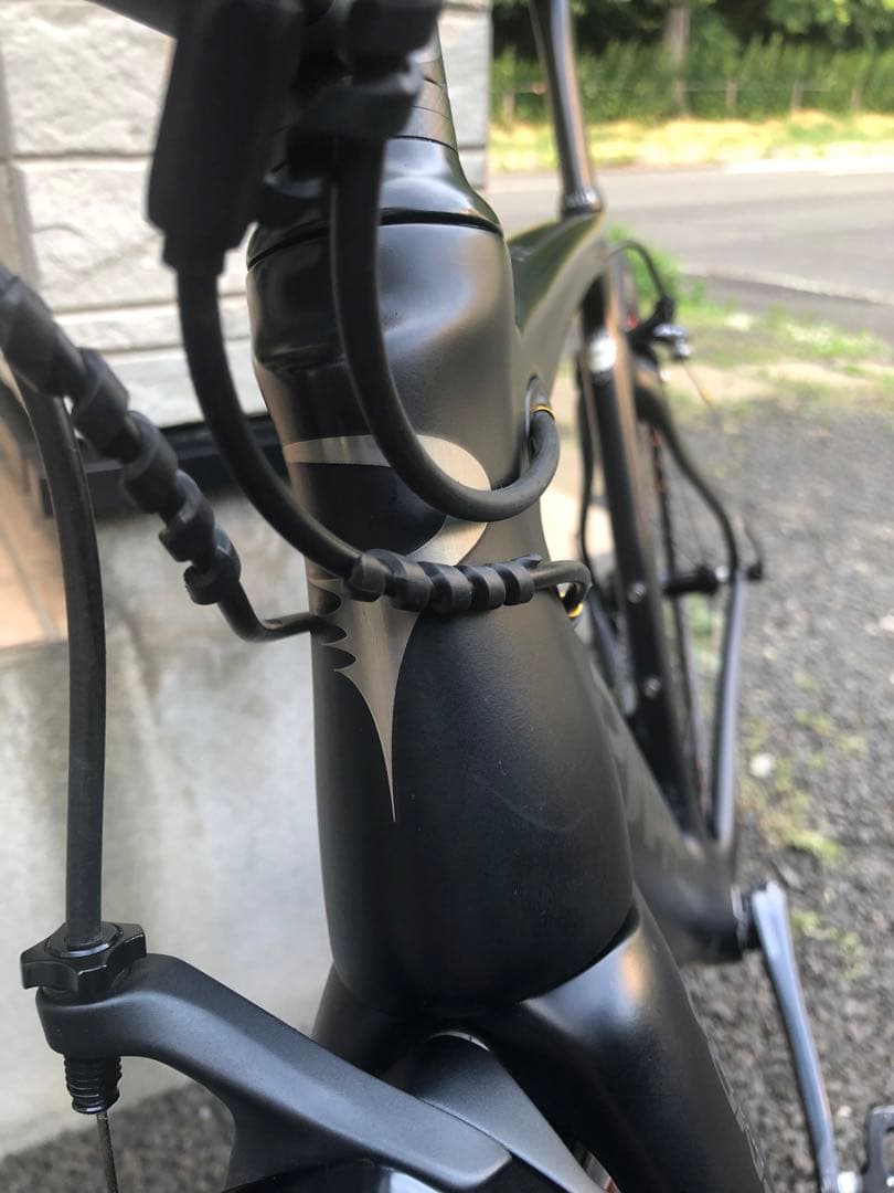 とり Pinarello GAN S 2017 ULTEGRA カーボン