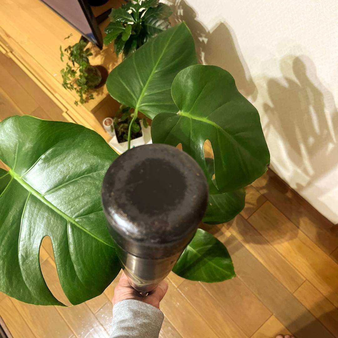 アルフ