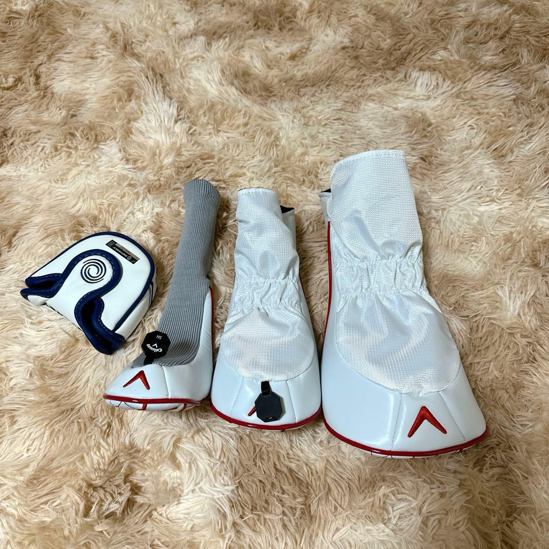 新品未使用❗️超人気　初心者用❗️ゴルフクラブセット　レディース 右利き用