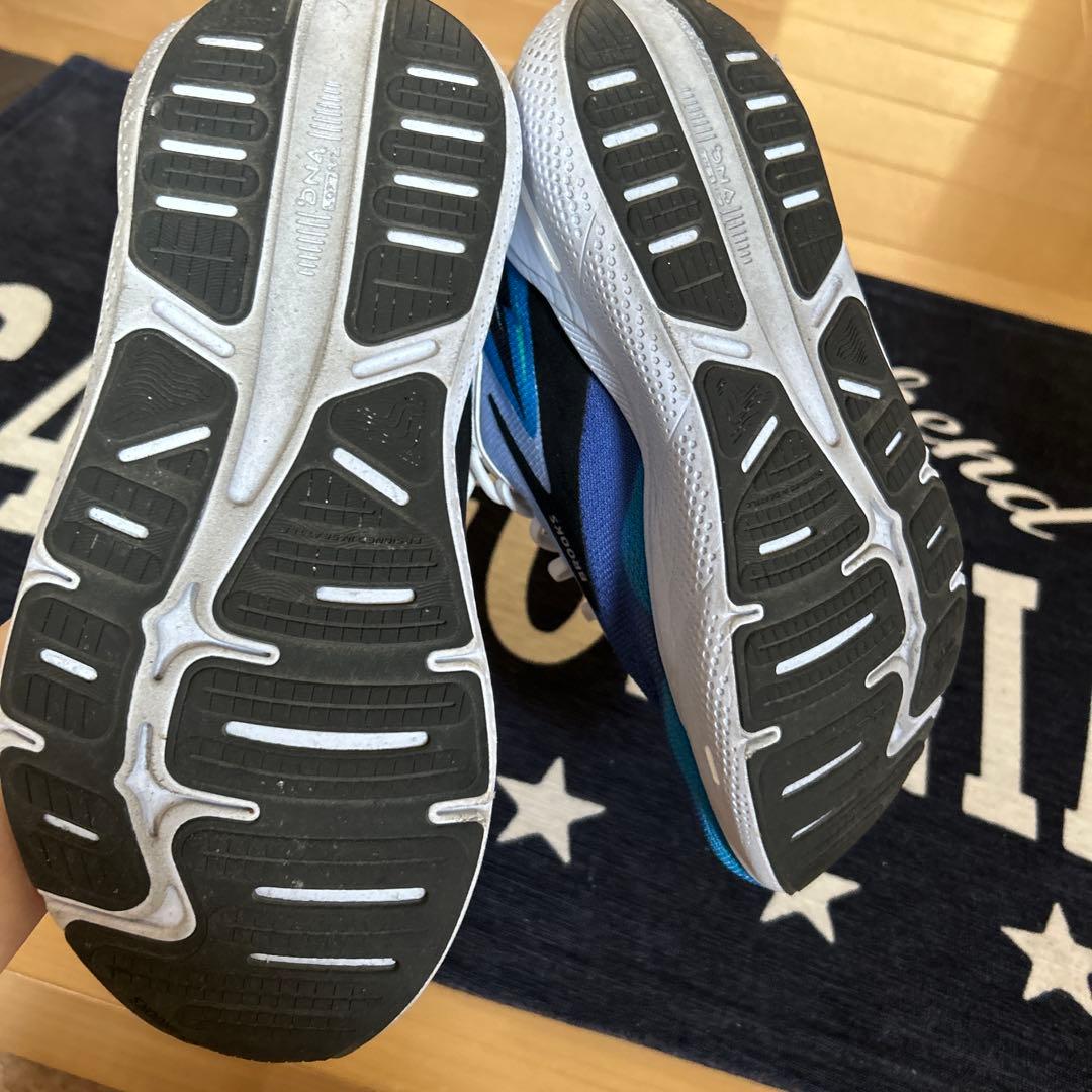 【美品・公式完売】 Brooks Ghost Max 25.0cm ランニング