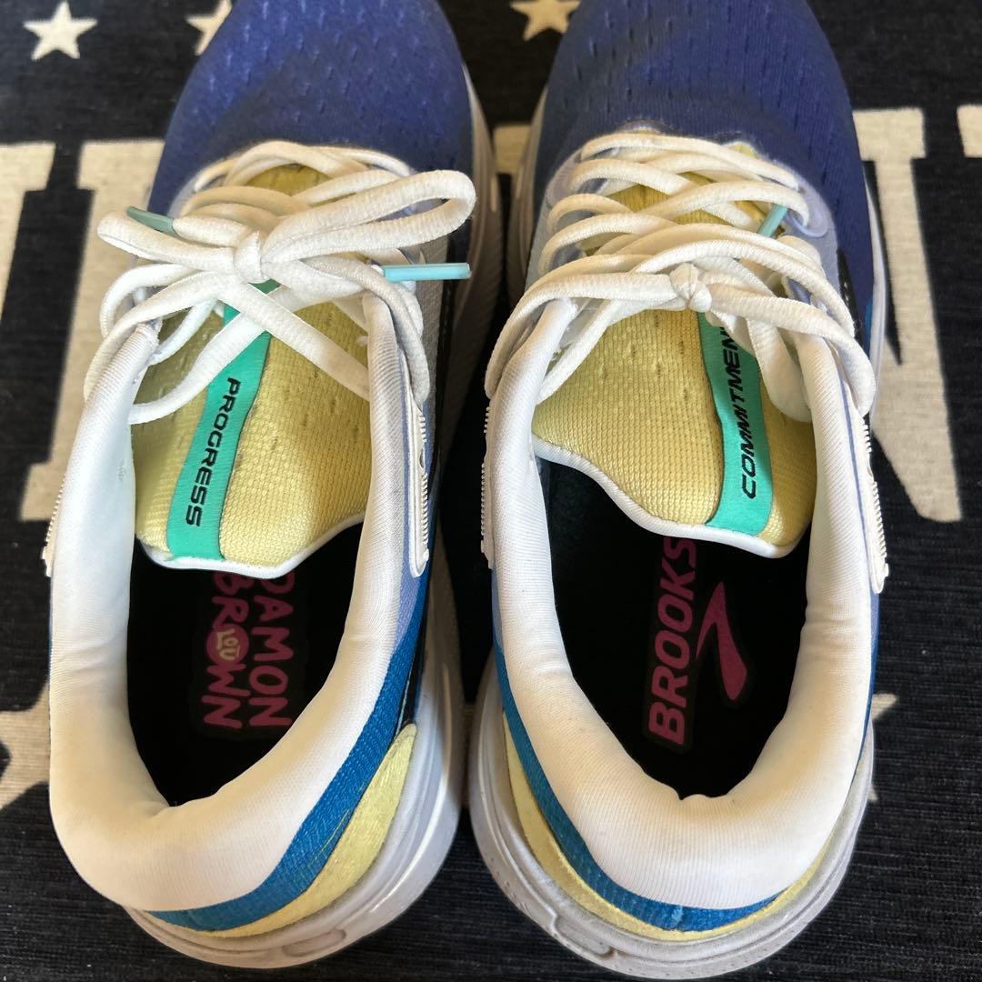 【美品・公式完売】 Brooks Ghost Max 25.0cm ランニング