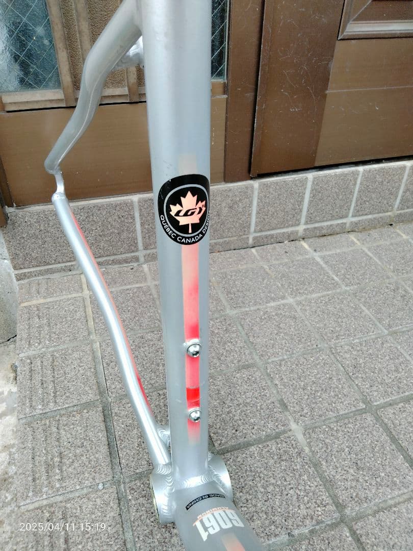 LOUIS GARNEAU ルイガノ CS-R クロスバイク フレームのみ