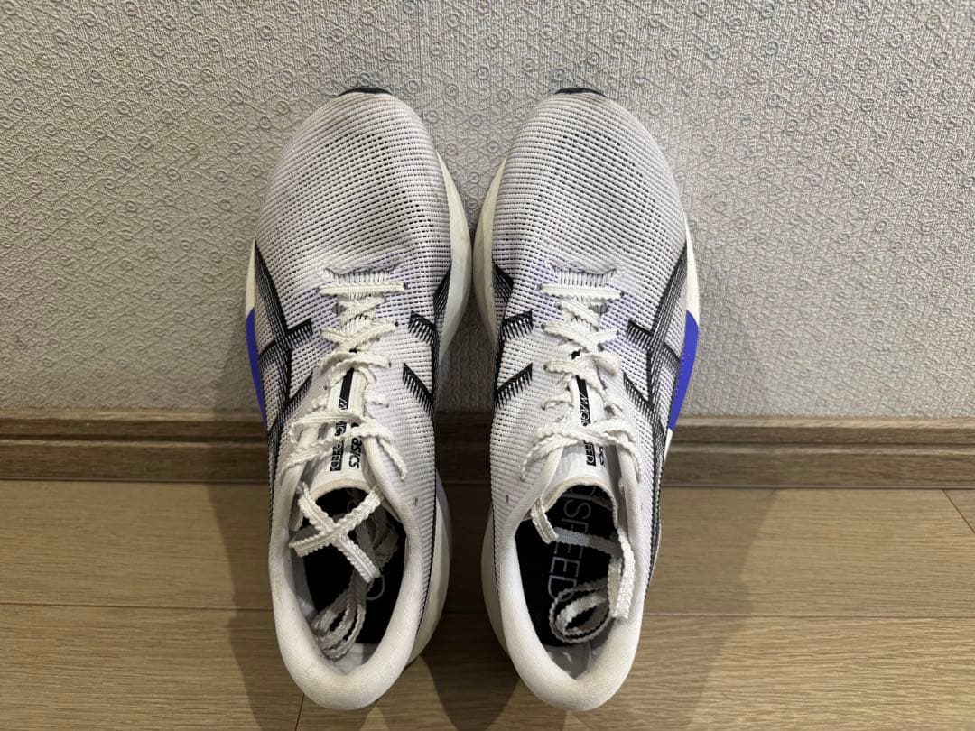 【24.5cm】 ASICS Magic Speed 5