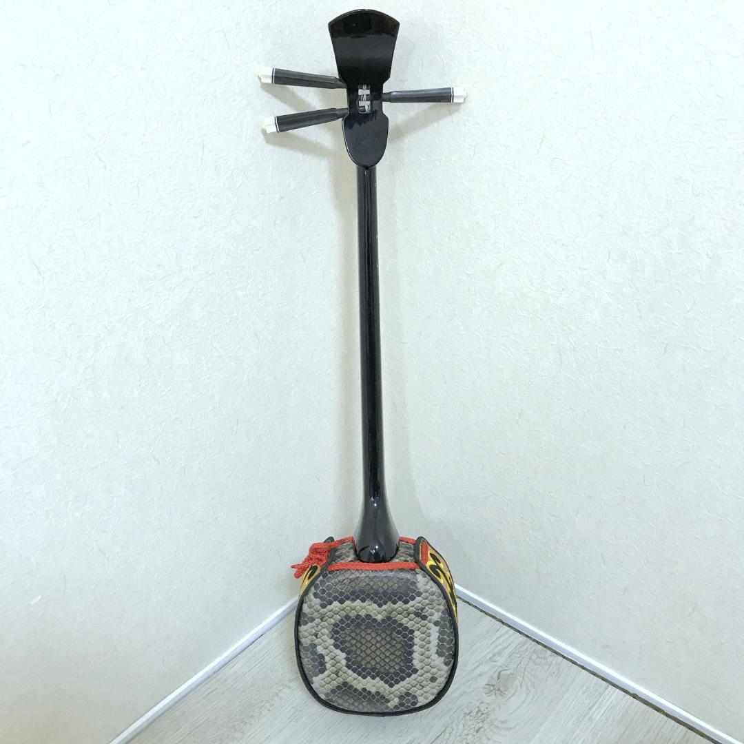 【美品】沖縄三線 伝統 蛇柄 人工革 初心者セット ソフトケース付 弦楽器