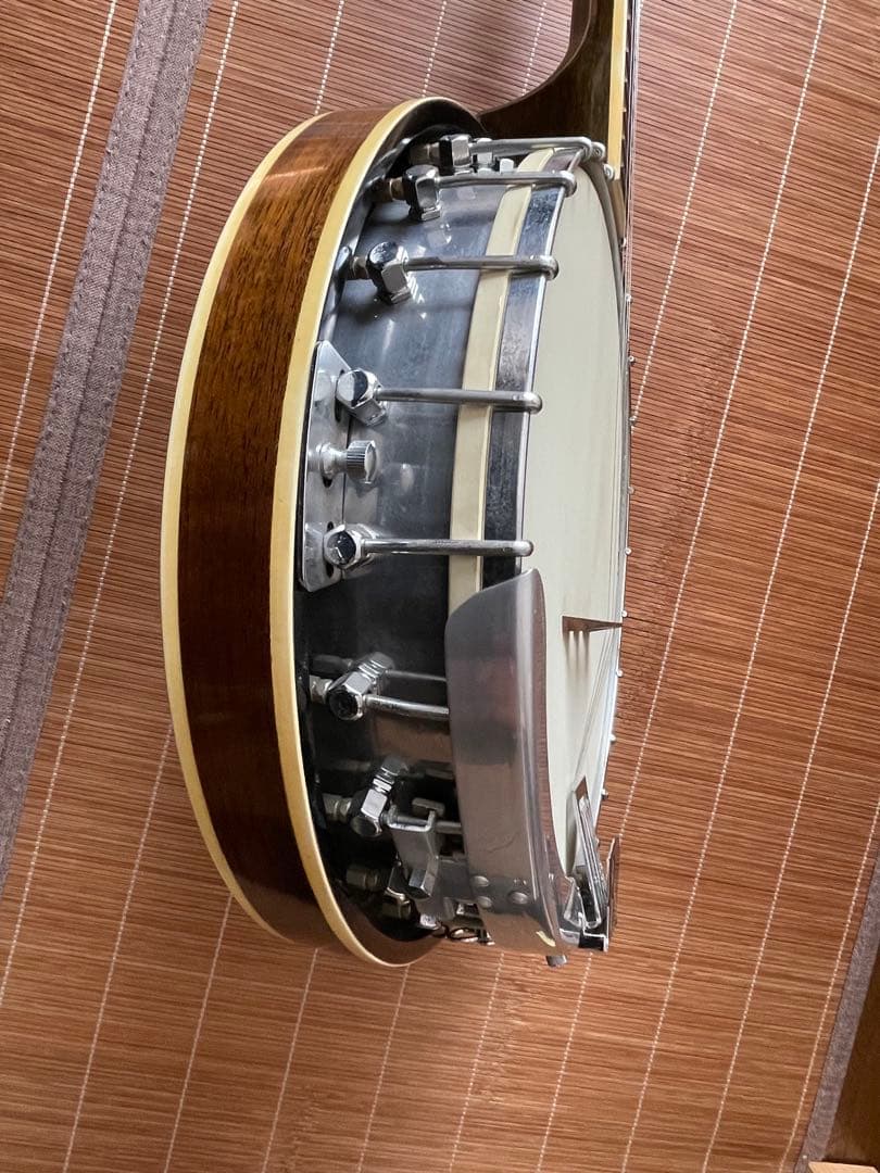 Tenesy Standard バンジョー5弦　ケース付き