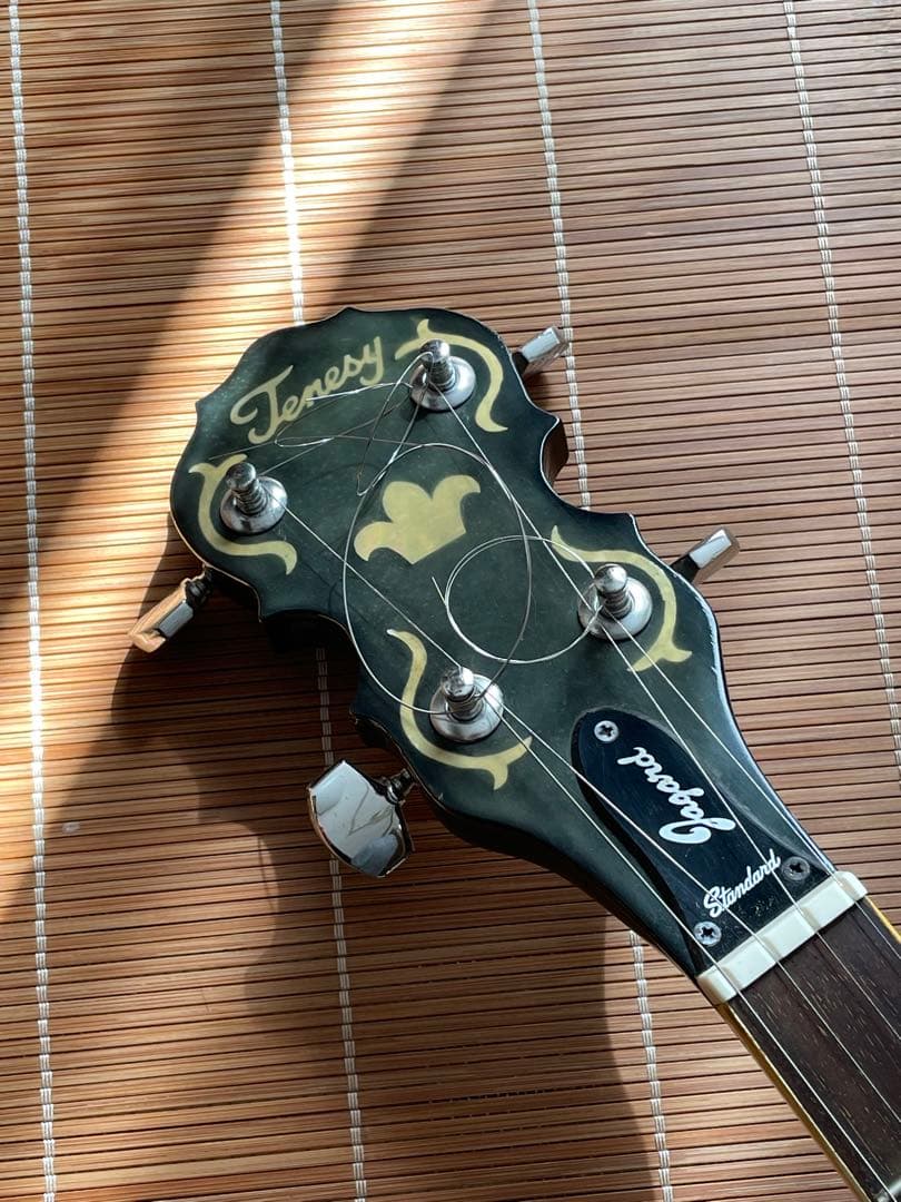 Tenesy Standard バンジョー5弦　ケース付き