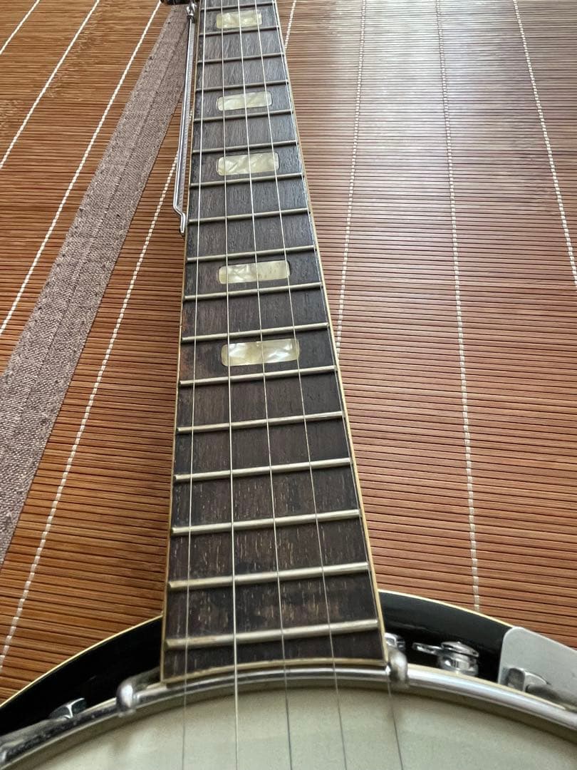 Tenesy Standard バンジョー5弦　ケース付き