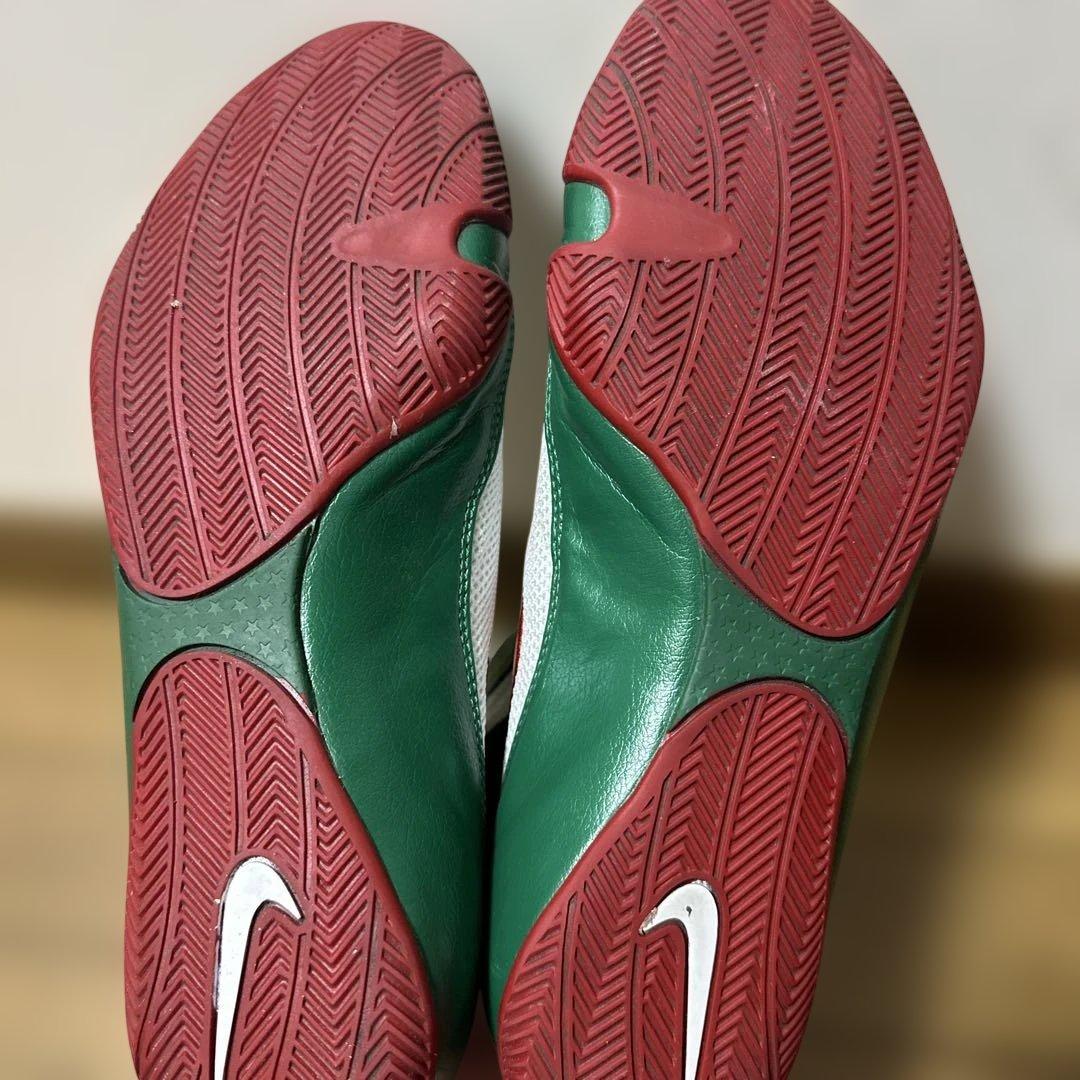 NIKEボクシングシューズ マチョマイ1 メキシカンカラー