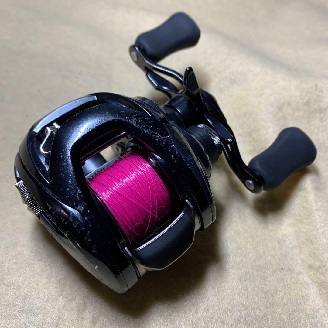 ダイワ(DAIWA) ベイトリール 20 TATULA SV TW タトゥーラ