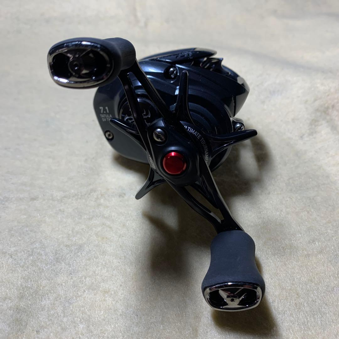 ダイワ(DAIWA) ベイトリール 20 TATULA SV TW タトゥーラ