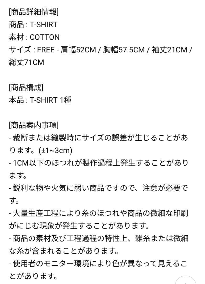 Stray Kids スキズ dominATE ソウルコン Tシャツ