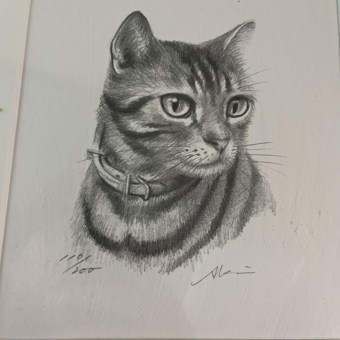 八代亜紀　猫えんぴつ画