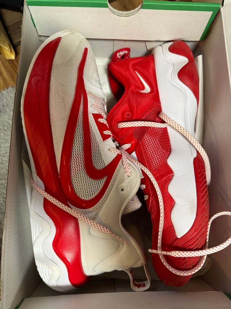 Nike アンテトクンポgiannis immortality