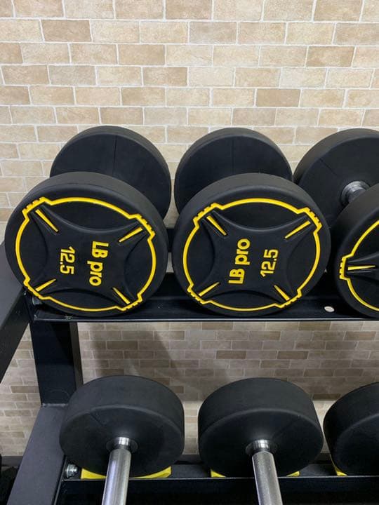 TPUダンベル　　25kg 2個