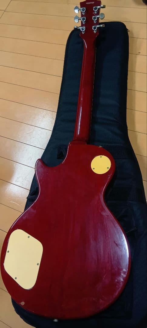 Burny　レスポールタイプ　Gotohピックアップ