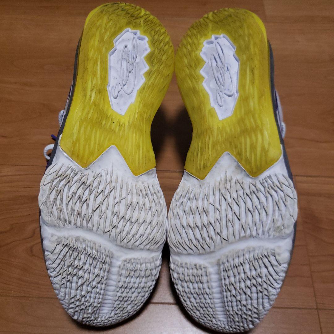 NIK】 LEBRON XVII LOW レブロン 17　ロー 29cm