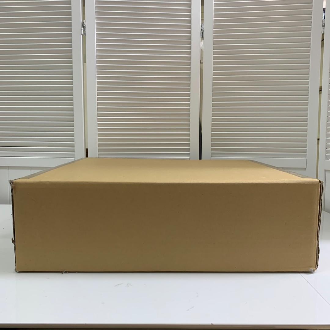 ★未開封 大光電機 LEDシーリングライト YLED-196ESS ～10畳 ②