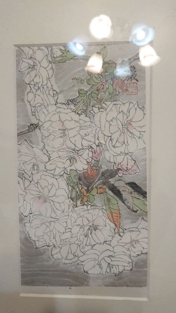 八重桜  絵画