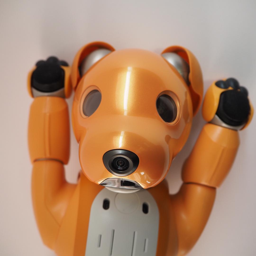 ソニー アイボ キャラメルエディション ERS-1000 ロボット aibo